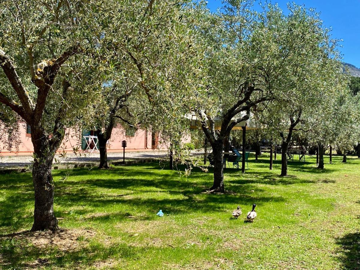 Residence Terme Isola D'Elba Srl Portoferraio Exterior foto