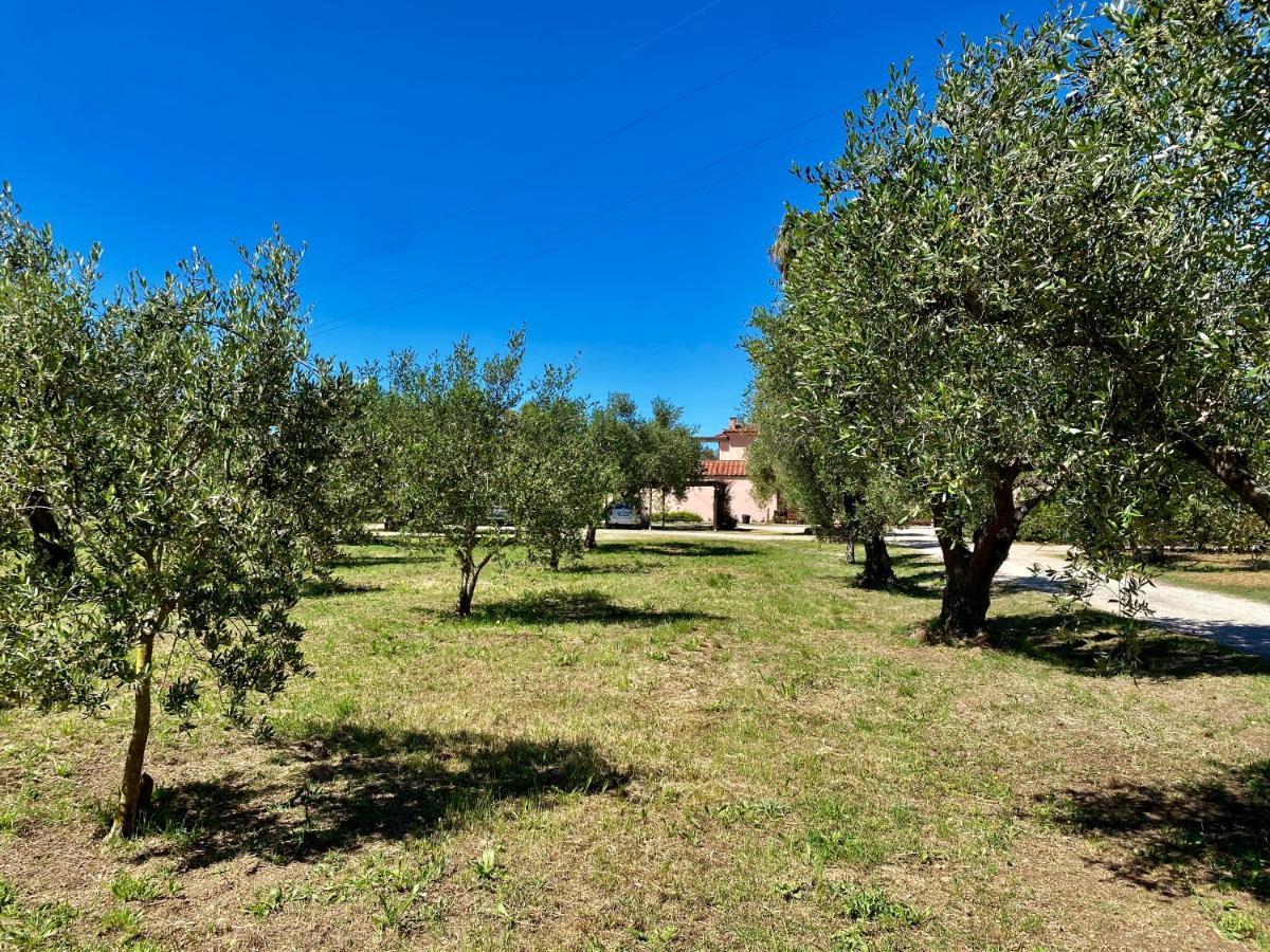 Residence Terme Isola D'Elba Srl Portoferraio Exterior foto