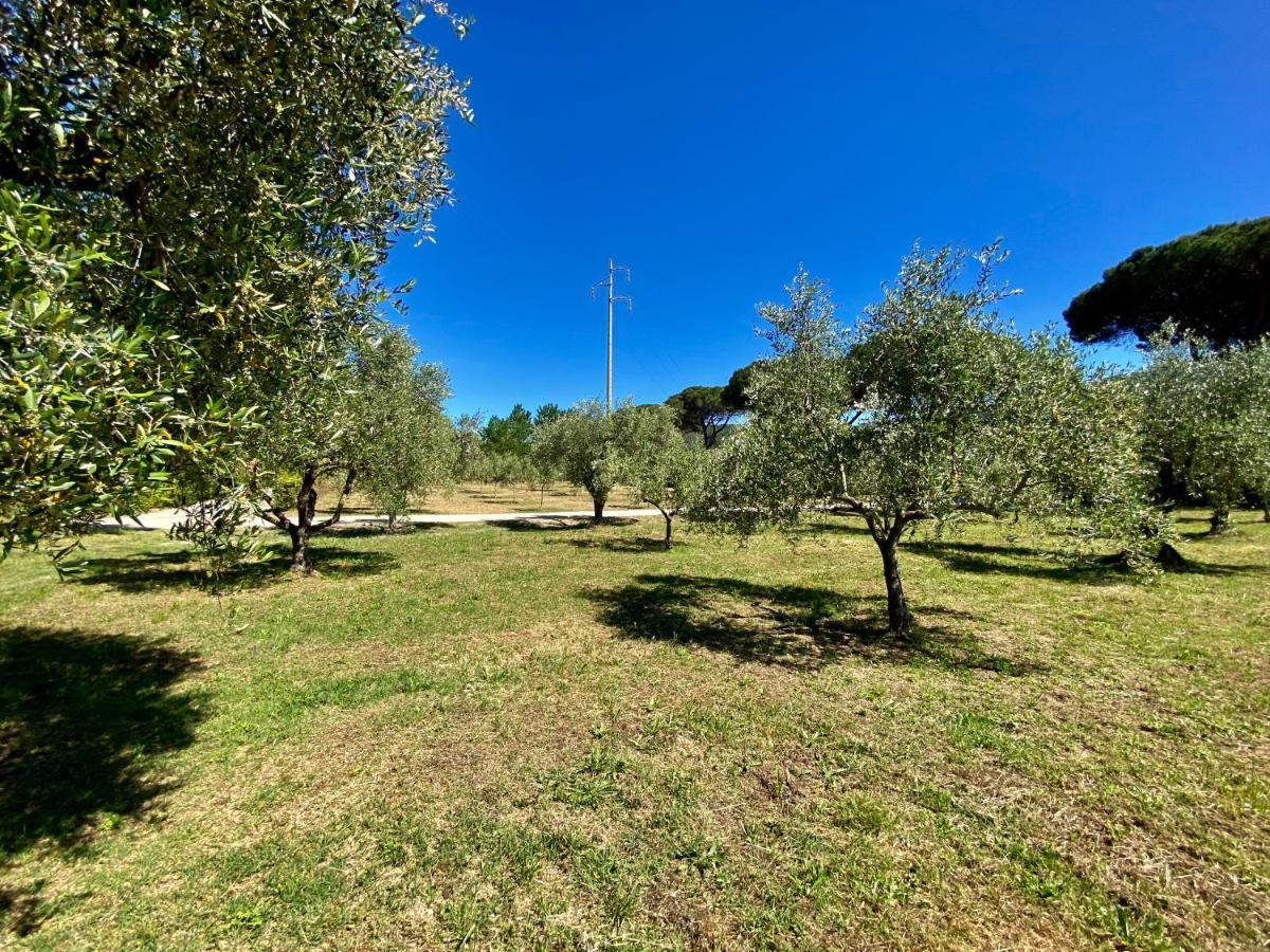 Residence Terme Isola D'Elba Srl Portoferraio Exterior foto